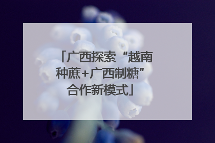 广西探索“越南种蔗+广西制糖”合作新模式