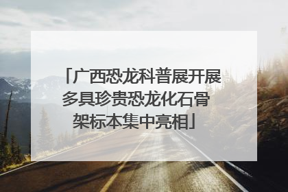 广西恐龙科普展开展 多具珍贵恐龙化石骨架标本集中亮相