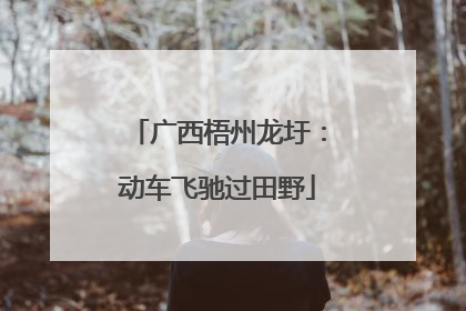 广西梧州龙圩：动车飞驰过田野