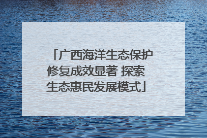 广西海洋生态保护修复成效显著 探索生态惠民发展模式