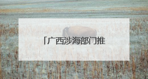 广西涉海部门推动“联建联动联管联治”合作