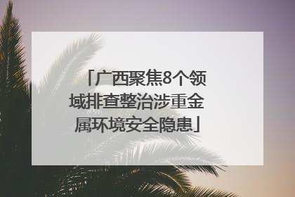 广西聚焦8个领域排查整治涉重金属环境安全隐患
