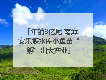 年销3亿尾 南漳安乐堰水库小鱼苗“孵”出大产业