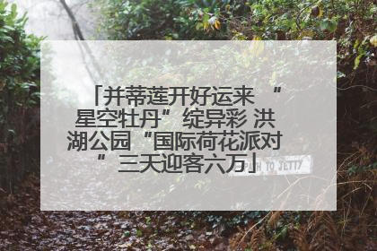并蒂莲开好运来 “星空牡丹”绽异彩 洪湖公园“国际荷花派对”三天迎客六万