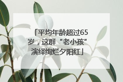 平均年龄超过65岁，这群“老小孩”演绎绚烂夕阳红