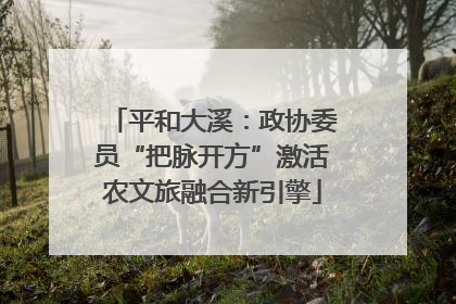 平和大溪：政协委员“把脉开方”激活农文旅融合新引擎