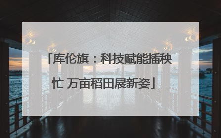 库伦旗：科技赋能插秧忙 万亩稻田展新姿