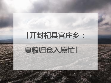 开封杞县官庄乡：夏粮归仓入廪忙