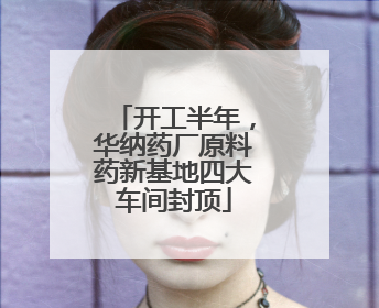 开工半年，华纳药厂原料药新基地四大车间封顶
