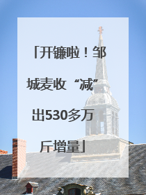 开镰啦！邹城麦收“减”出530多万斤增量