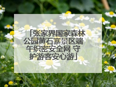 张家界国家森林公园黄石寨景区端午织密安全网 守护游客安心游