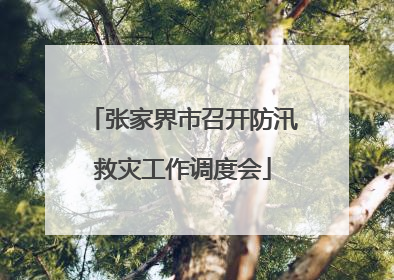 张家界市召开防汛救灾工作调度会