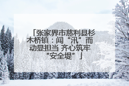 张家界市慈利县杉木桥镇：闻“汛”而动显担当 齐心筑牢“安全堤”