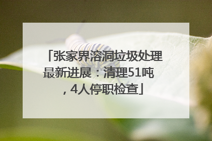 张家界溶洞垃圾处理最新进展：清理51吨，4人停职检查