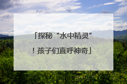 探秘“水中精灵”！孩子们直呼神奇
