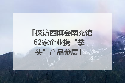 探访西博会南充馆 62家企业携“拳头”产品参展