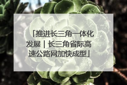 推进长三角一体化发展｜长三角省际高速公路网加快成型