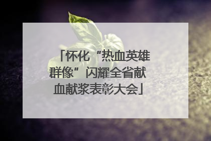 怀化“热血英雄群像”闪耀全省献血献浆表彰大会