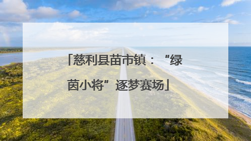 慈利县苗市镇：“绿茵小将”逐梦赛场