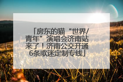 房东的猫“世界/青年”演唱会济南站来了！济南公交开通6条歌迷定制专线