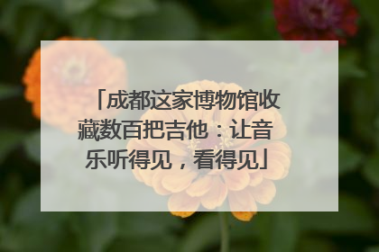 成都这家博物馆收藏数百把吉他：让音乐听得见，看得见