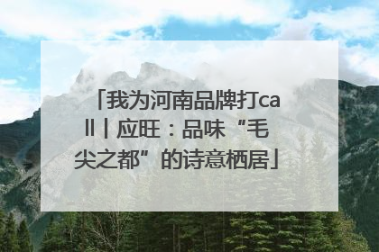 我为河南品牌打call丨应旺：品味“毛尖之都”的诗意栖居
