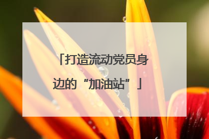 打造流动党员身边的“加油站”