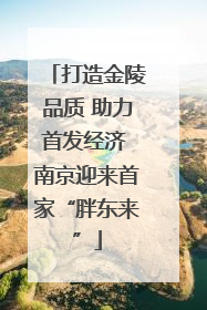 打造金陵品质 助力首发经济 南京迎来首家“胖东来”