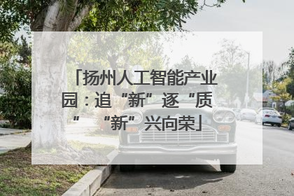 扬州人工智能产业园：追“新”逐“质” “新”兴向荣