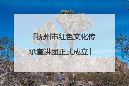 抚州市红色文化传承宣讲团正式成立
