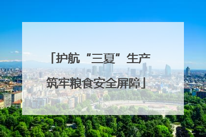 护航“三夏”生产 筑牢粮食安全屏障