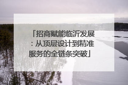 招商赋能临沂发展：从顶层设计到精准服务的全链条突破