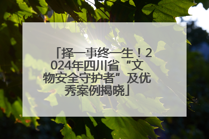 择一事终一生！2024年四川省“文物安全守护者”及优秀案例揭晓