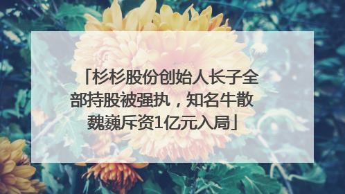 杉杉股份创始人长子全部持股被强执，知名牛散魏巍斥资1亿元入局