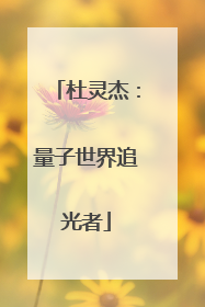 杜灵杰：量子世界追光者