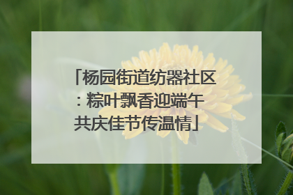 杨园街道纺器社区：粽叶飘香迎端午 共庆佳节传温情