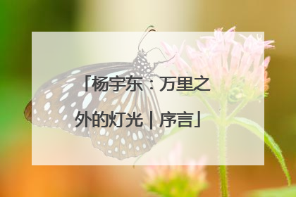 杨宇东：万里之外的灯光｜序言