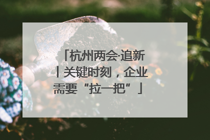 杭州两会·追新丨关键时刻，企业需要“拉一把”