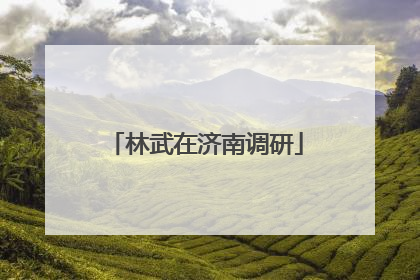 林武在济南调研