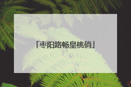 枣阳路畅皇桃俏