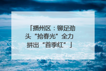 播州区：铆足劲头“抢春光”全力拼出“首季红”