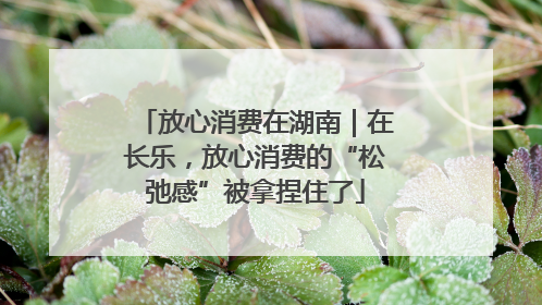 放心消费在湖南｜在长乐，放心消费的“松弛感”被拿捏住了