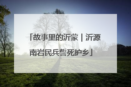 故事里的沂蒙｜沂源南岩民兵誓死护乡