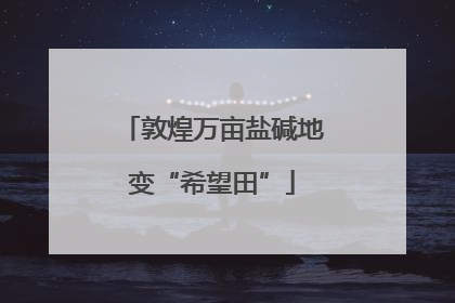 敦煌万亩盐碱地变“希望田”
