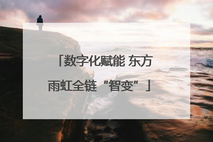 数字化赋能 东方雨虹全链“智变”