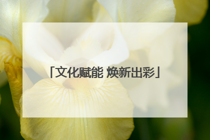 文化赋能 焕新出彩