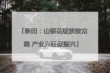 新田：山银花绽放致富路 产业兴旺促振兴