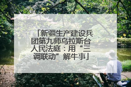 新疆生产建设兵团第九师乌拉斯台人民法庭：用“三调联动”解牛事