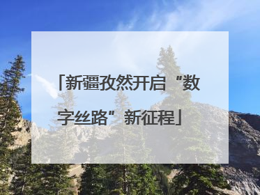 新疆孜然开启“数字丝路”新征程