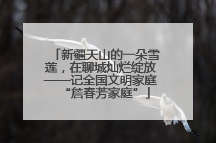 新疆天山的一朵雪莲，在聊城灿烂绽放——记全国文明家庭“詹春芳家庭”